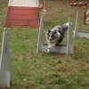 foire-haricots 2011-09-17et18